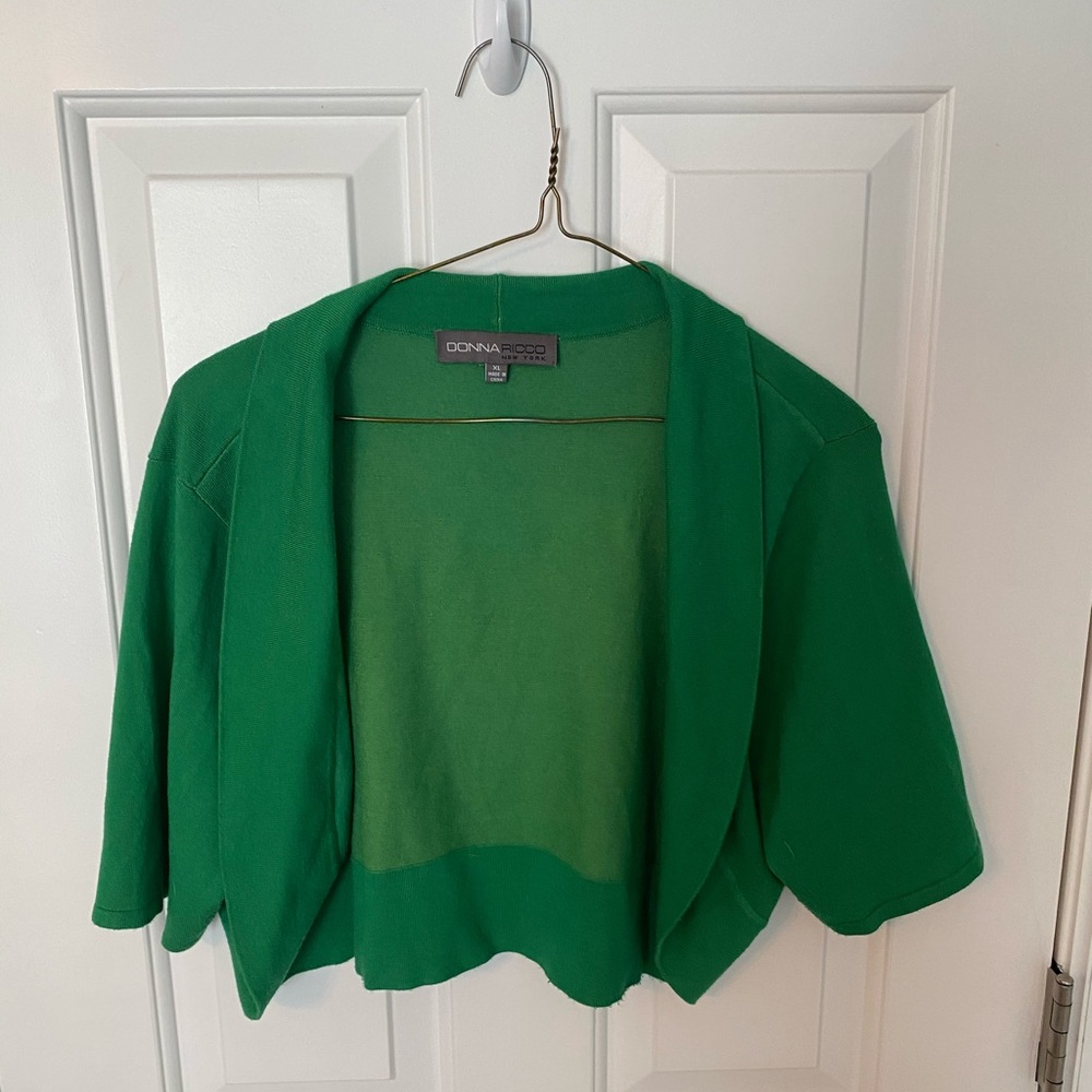 Donna rico green cropped sweater